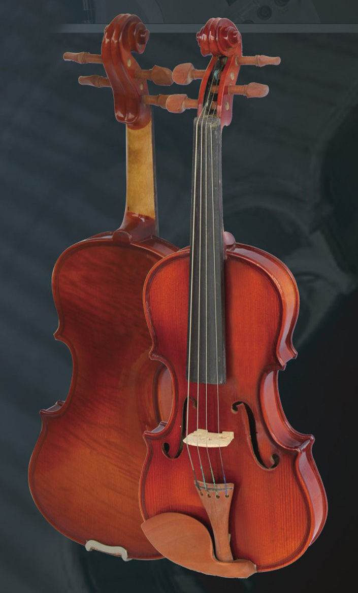 Violin