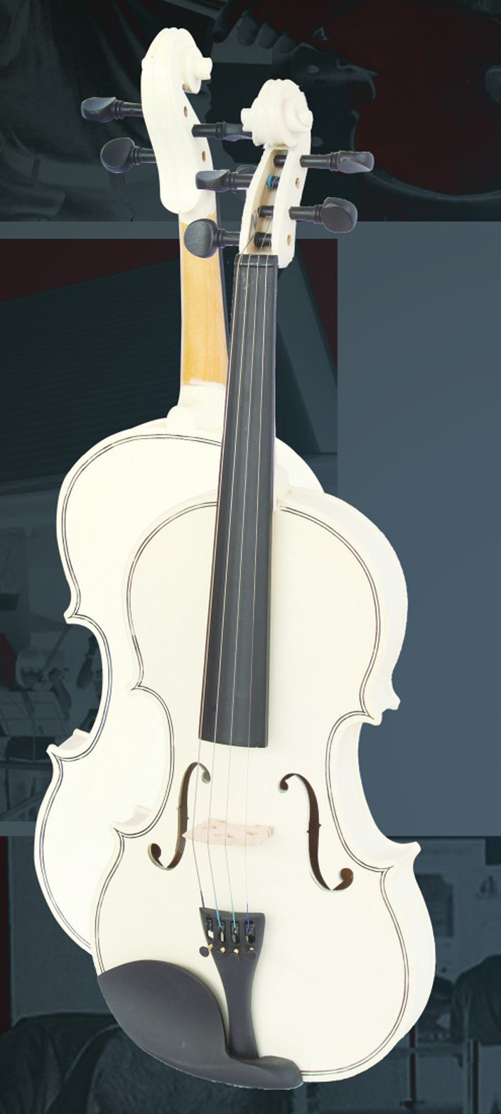 Violin