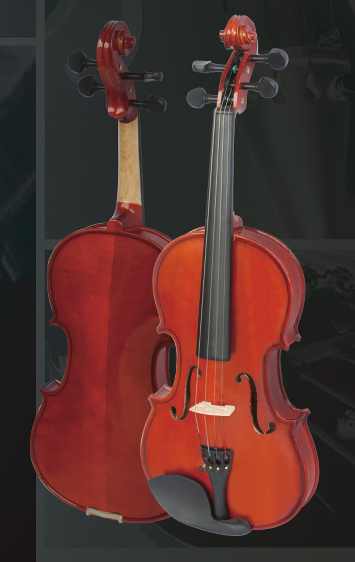 Violin